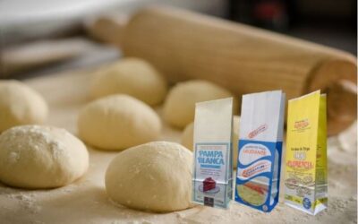 Envases Para Harina De Trigo. ¿Cómo elegir?