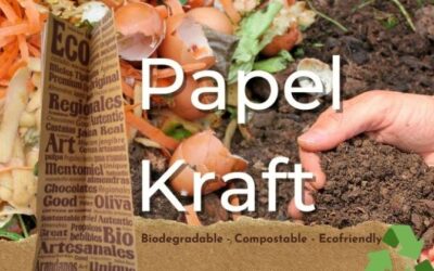 ¿Por qué usar bolsas de papel kraft?
