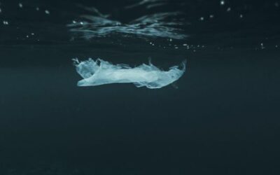Día Mundial Sin Bolsas de Plástico . Todo lo que debes saber al respecto