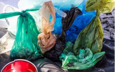¿Cuáles son los daños que causan las bolsas de plástico al medio ambiente?
