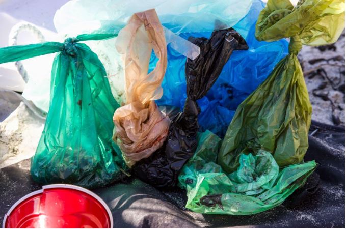 Daños que causan las bolsas de plástico al medio ambiente