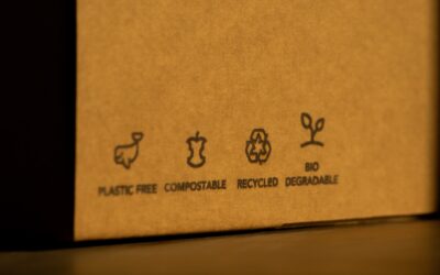 ROI de los negocios que implementan packaging de papel reciclado
