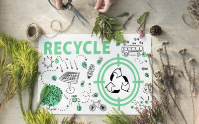 3 Características de una marca eco friendly