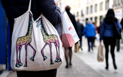 La tendencia de las ecobolsas en los negocios argentinos