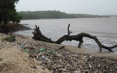 ¿Cómo contamina el plástico al medio ambiente?