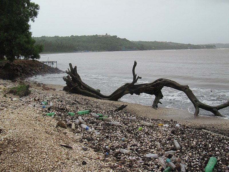 Cómo contamina el plástico al medio ambiente