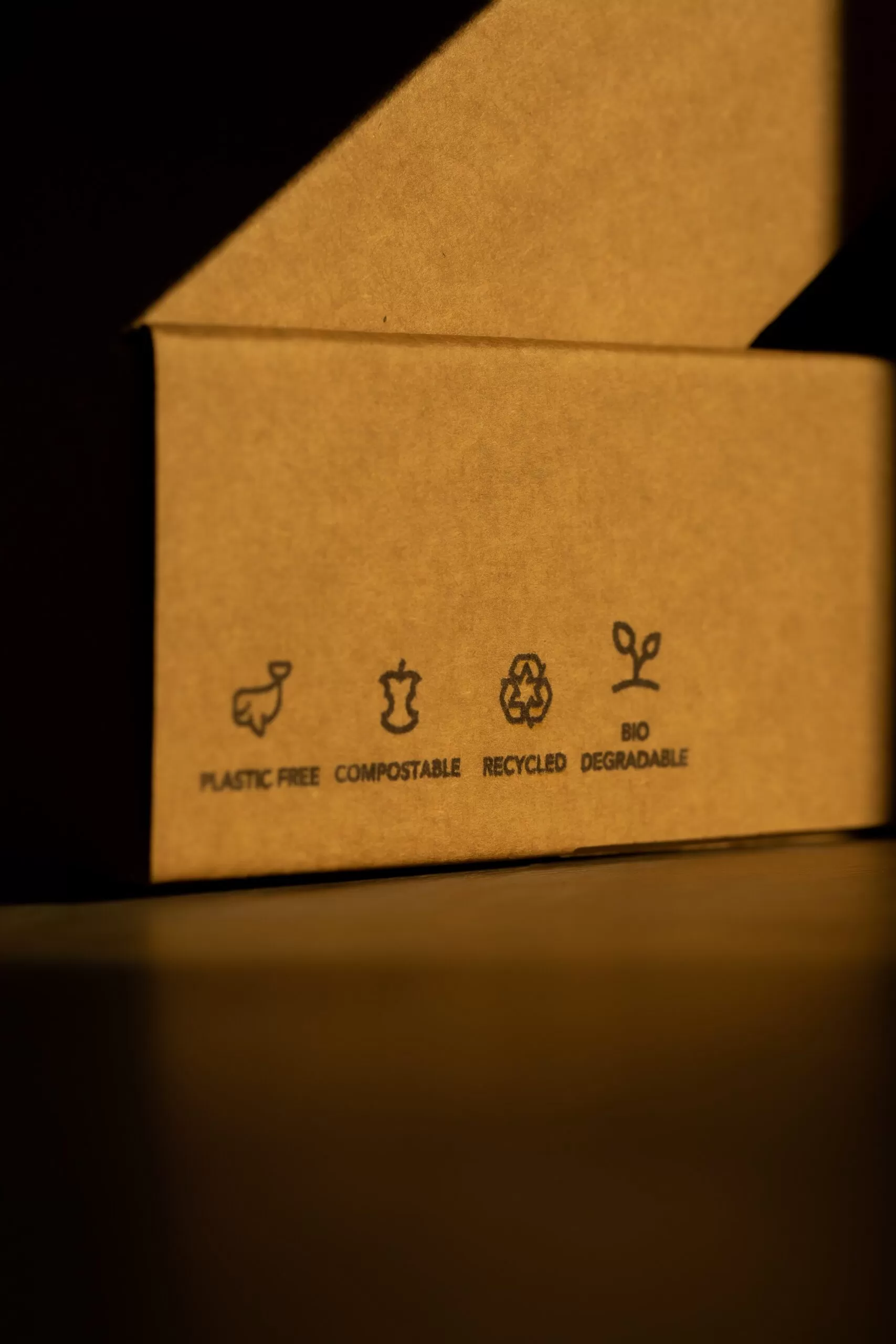 Cómo-el-Packaging-de-Papel-Reciclado-Aumenta-el-ROI-de-un-Negocio